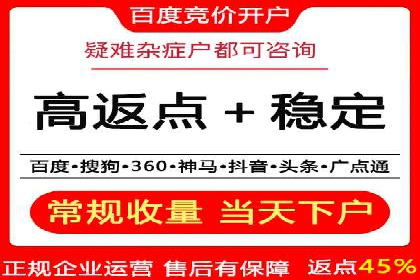 百度竞价推广公司经典案例研究：广告效果最大化策略