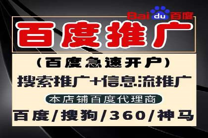 百度广告竞价之成功案例：某行业领军企业的崛起之路